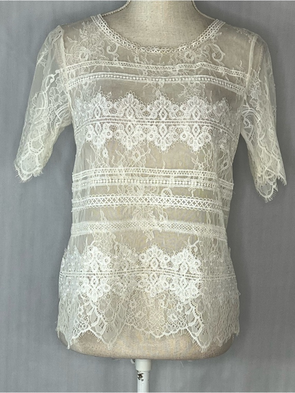White House Black Market Top Ivory Lace Overlay Shear Embroidery Short Sleeve S👍